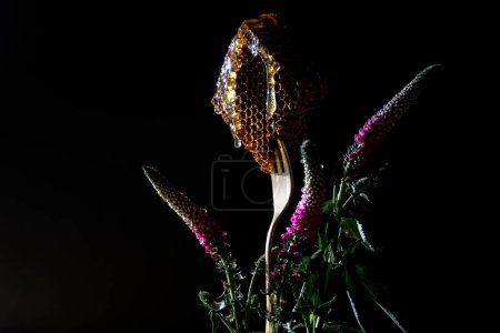 Téléchargez les photos : Fresh honey comb and summer flowers on black - en image libre de droit