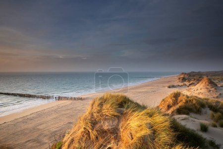 Téléchargez les photos : North sea beach view at sunset, Holland - en image libre de droit