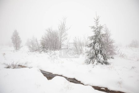 Téléchargez les photos : River and trees in snow during winter - en image libre de droit