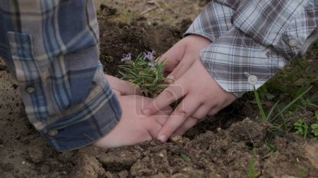 Garçon planter un nouvel arbre, concept Sauver la Terre, sauver le monde, sauver la planète, écologie concept.photo