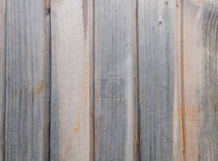 Téléchargez les photos : Texture vieillie de couleurs gris et orange doux, parsemée de rayures horizontales et de nœuds en bois véritable - en image libre de droit