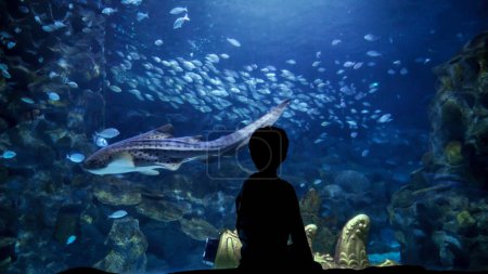 Foto de Silueta de niño curioso sentado en el banco y mirando peces y tiburones nadando en un acuario grande. - Imagen libre de derechos