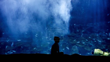 Foto de Niño sentado en el banco en el acuario y mirando la vida marina. 23 de marzo de 2023, Estambul, Turquía, Acuario de Vida Marina. - Imagen libre de derechos
