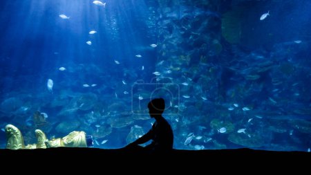 Photo for Silhouette of little boy sitting in the bog aquarium and looking at swimming fishes and coral reefs. - Royalty Free Image
