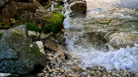 Photo for Sea waves gently breaking on the rocky beach, adorned with the flourishing seaweeds and algae - Royalty Free Image