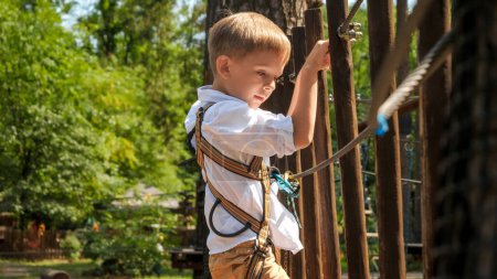 Photo for Portrait of young boy climbing and crossing rope bridge with wooden planks. Active childhood, healthy lifestyle, kids playing outdoors, children in nature - Royalty Free Image