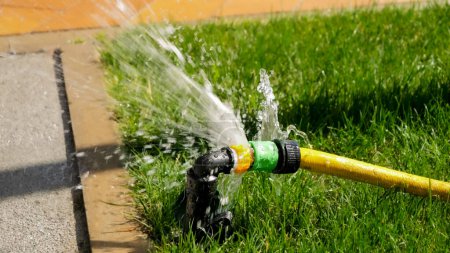 Photo for Closeup of water leaking and flowing on green grass lawn through damaged hose pipe. Water waste, garden equipment, gardening - Royalty Free Image