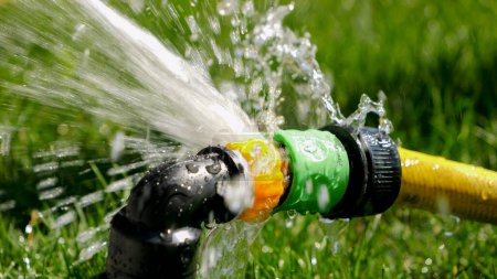 Téléchargez les photos : L'eau fuit et coule à travers le tuyau et le tuyau de jardinage connexion. Déchets d'eau, équipements, jardinage - en image libre de droit