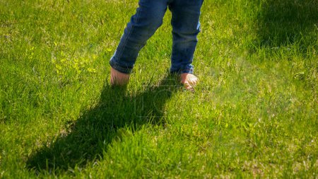 Foto de Primer plano del bebé descalzo en jeans caminando sobre césped de hierba verde. Niños al aire libre, niños en la naturaleza, bebé jugando al aire libre - Imagen libre de derechos