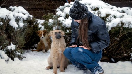 Téléchargez les photos : Heureuse fille souriante jouant avec son chien gai dans la neige à l'extérieur. Enfants avec des animaux, jeux avec des animaux - en image libre de droit