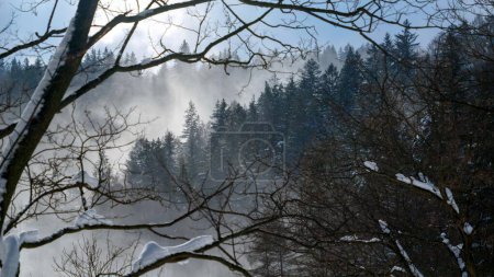 Téléchargez les photos : Paysage de neige tombant sur la forêt aux montagnes. Paysage hivernal, temps froid, blizzard et tempête - en image libre de droit
