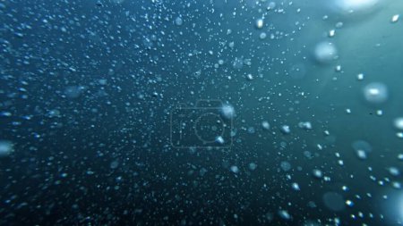 Foto de Burbujas de aire que se mueven desde el fondo del mar hasta la superficie del agua, con la luz del sol brillando a través. Ideal para crear un fondo natural abstracto. - Imagen libre de derechos