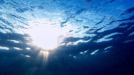 Téléchargez les photos : Vue du fond de la mer sur un soleil éclatant à travers l'eau de mer bleu clair. - en image libre de droit