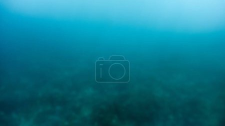 Foto de Resumen plano borroso de nadar sobre los arrecifes de coral y el fondo del mar iluminado por los rayos del sol que brillan a través de la superficie del océano. - Imagen libre de derechos