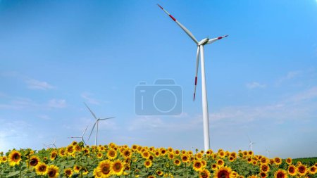 Téléchargez les photos : Énergie propre en pleine floraison : éoliennes fonctionnant gracieusement dans des champs de tournesol ensoleillés. - en image libre de droit