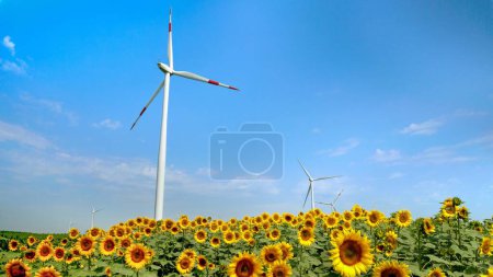 Foto de Agricultura y energías alternativas. Turbinas eólicas que operan en el campo de girasol en un día soleado. - Imagen libre de derechos