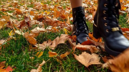 Photo for Closeup of female feet in high heels boots walking over grass covered with fallen autumn leaves in park. - Royalty Free Image