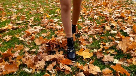 Photo for Sexy woman in pantyhose and high heels walking on yellow autumn leaves in park. - Royalty Free Image