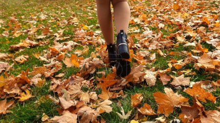 Photo for Sexy woman in high heels walking over the grass lawn covered with fallen tree leaves in autumn. - Royalty Free Image