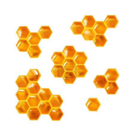 Photo for 3d realistic  set with honeycombs - Royalty Free Image