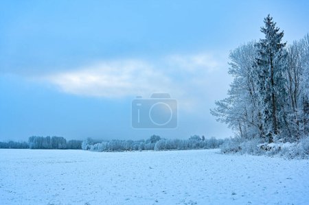 Photo for Field covered in snow a misty cold day in Kumla Sweden december 5 2022 - Royalty Free Image