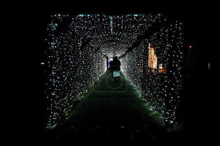 Téléchargez les photos : Le parc Lumina est une exposition de lumière à Budapest, sur Margit île de Budapest Hongrie 25 novembre 2022 - en image libre de droit