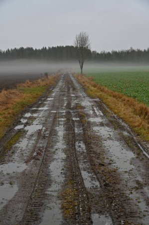 Photo for Puddles of water on gravel road over fields Kumla Sweden january 2 2023 - Royalty Free Image