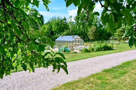 Téléchargez les photos : Maison verte et zone de culture dans le jardin Kumla Suède 24 juin 2023 - en image libre de droit