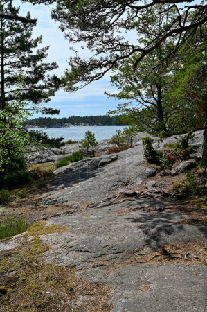 Foto de Trail throug Reserva natural de Stendorren Nykoping Suecia 15 de julio 2023 sobre acantilados planos - Imagen libre de derechos