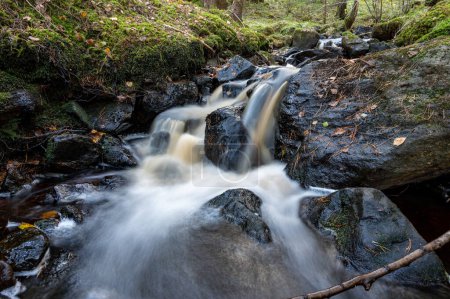 Foto de Primer plano de la corriente de agua a través del bosque de otoño Skale Klint Suecia 10 de octubre 2023 - Imagen libre de derechos