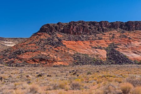 Photo for Volcanic Layer Atop a Sandstone Escarpment in Snow Canyon State Park in Utah - Royalty Free Image