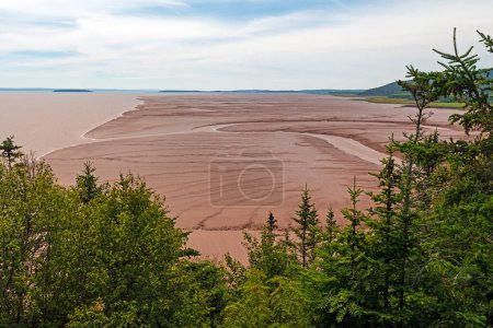 Téléchargez les photos : Vasières côtières sur la baie de Fundy dans le parc provincial The Rocks au Nouveau-Brunswick. - en image libre de droit