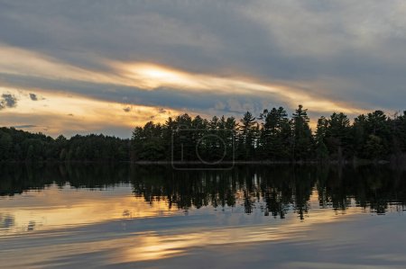 Foto de Siluetas y parches de luz en los bosques del norte en el lago Clark en el desierto de Sylvania en Michigan - Imagen libre de derechos