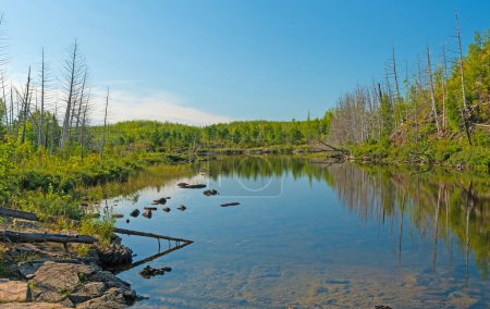 Téléchargez les photos : Lumière du matin sur un lac calme sur le lac Jasper dans les eaux limitrophes du Minnesota - en image libre de droit