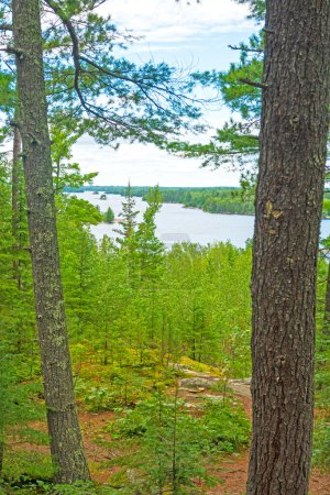 Photo for Picturesque Lake Viewed Through the Forest in Voyageurs National Park in Minnesota - Royalty Free Image