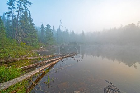 Téléchargez les photos : Backwater Bay se présente dans le brouillard de dégagement sur le lac Jenny dans la zone de canot des eaux limitrophes dans le Minnesota - en image libre de droit