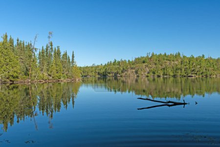 Téléchargez les photos : Matin calme et dégagé de bois du Nord sur le lac Eddy dans la région de canot des eaux limitrophes dans le Minnesota - en image libre de droit