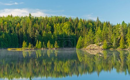 Téléchargez les photos : Ombres vertes dans les bois du Nord sur le lac Jenny dans la région des eaux limitrophes Canot dans le Minnesota - en image libre de droit