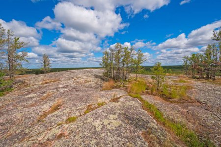 Téléchargez les photos : Végétation clairsemée sur une colline rocheuse dans le parc provincial Nopiming au Manitoba - en image libre de droit