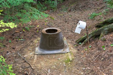 Téléchargez les photos : Wilderness Privy in the North Woods in the Boucnary Waters Canoe Area in Minnesota - en image libre de droit