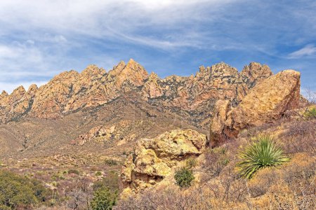 Zerklüftete Gipfel in einem Wüstenpanorama im Organ Mountain Desert Peaks National Monument in New Mexico