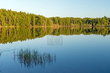 Calm Waters in the Early Morning on Mountain Lake in the Sylvania Wilderness in Michigan