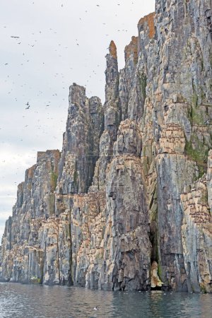 Rocky Nesting Cliffs on a High Arctic Coast on Alkefjellet in the Svalbard Islands