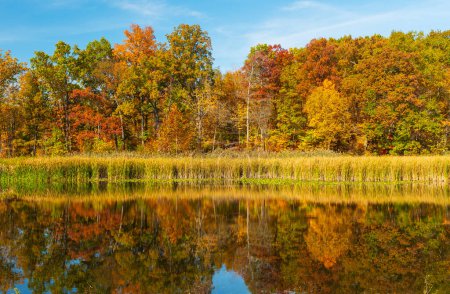 Reflexiones forestales en otoño en el lago Kendall en el Parque Nacional Valle de Cuyahoga en Ohio