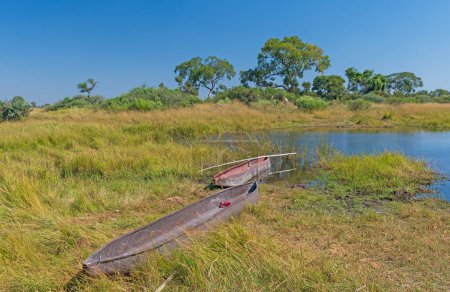 Foto de Expedición Canoas en el Delta del Okavango en Botswana - Imagen libre de derechos