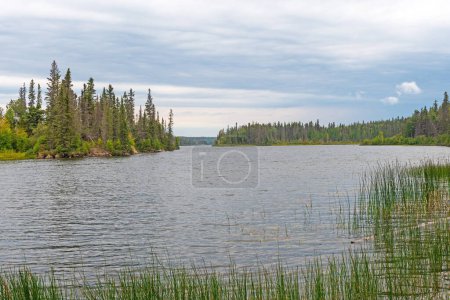 Ruhiger See an einem bewölkten Tag im hohen Norden am Whitefish Lake in Manitoba