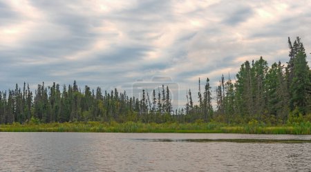 Kuschelige Stratuswolke über dem Himmel am Whitefish Lake in Manitoba