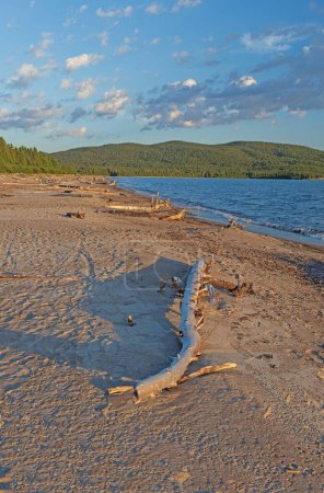 Driftwood and Sand in the Evening at Neys Provincial Park in Ontario