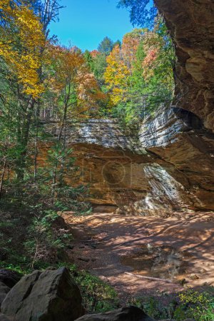 Téléchargez les photos : Couleurs de la forêt d'automne au-dessus d'un canyon de calcaire isolé au canyon Ash dans Hocking Hills State Park dans l'Ohio - en image libre de droit