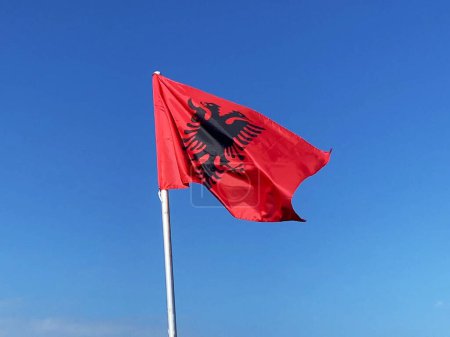 Red Albanian flag with double-headed black eagle flutters in the wind on blue sky background, Travel and tourism in Balkan concept, closeup